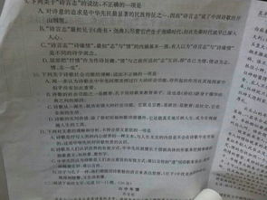 校園里的中國文化名人畫(huà)廊作文