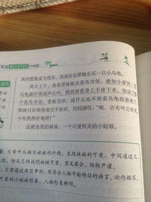寫(xiě)一件我校園里事情300字作文三級作文