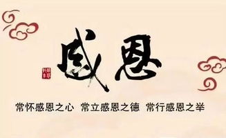 校園勵志標語(yǔ)演講稿800字,校園勵志演講稿600字,校園勵志演講稿300字左右