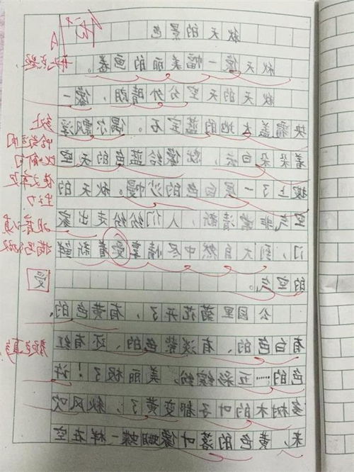 作文,景象,秋天,校園