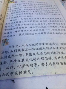 校園采風(fēng)作文400字