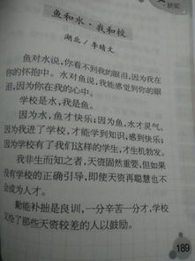 表達校園的作文