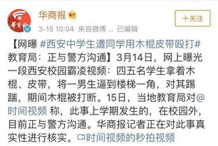 作文,暴力,校園,網(wǎng)絡