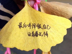描寫(xiě)校園落葉作文