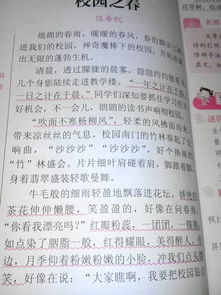 作文,藝術(shù)節(jié),寫(xiě)一篇,圍繞