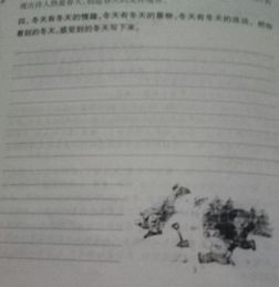 作文,校園