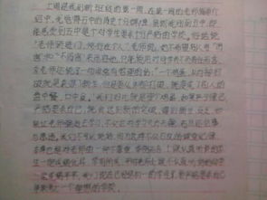 關(guān)于新中學(xué)校園的作文