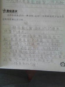 校園作文600字以上說(shuō)明方法