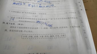 校園開(kāi)心的一件事600字作文怎么寫(xiě)