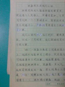 疫情重啟校園生活作文