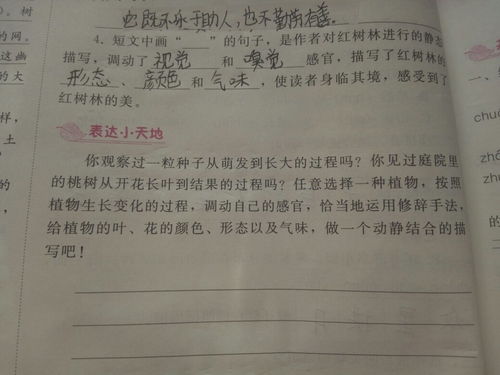 校園的動靜結合作文100字