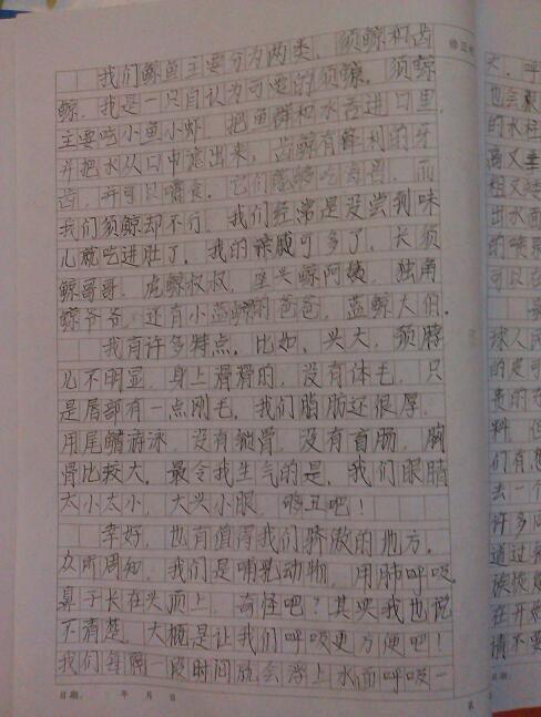 手機帶進(jìn)校園作文1000字