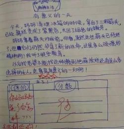 描寫放學(xué)后安靜的校園作文300字