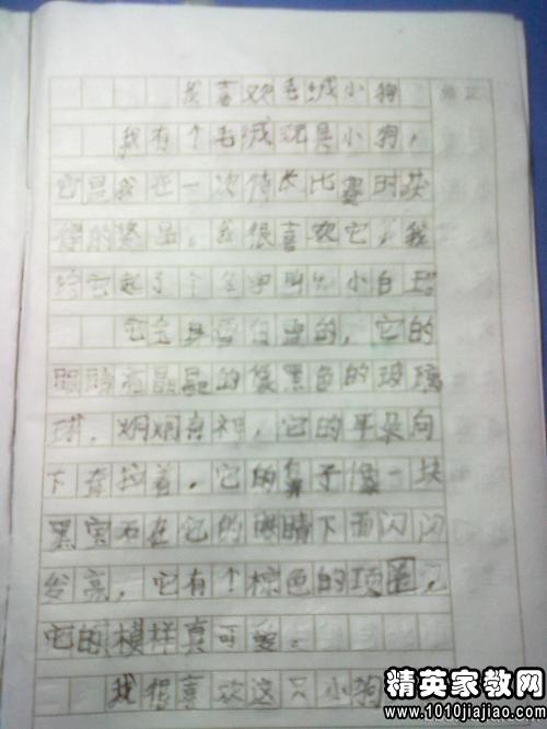 觀(guān)察校園雪景的作文200字