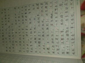 我的校園35o個(gè)字作文