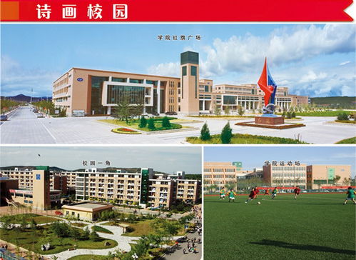 詩畫校園作文