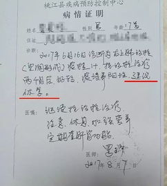 校園娛樂(lè )作文素材