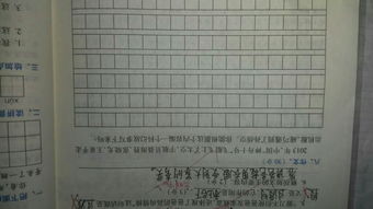 楊樹(shù),作文,校園