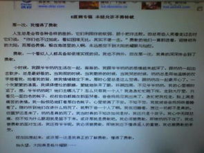 幸福職專(zhuān)校園作文700字