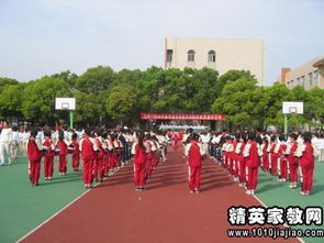 小學校園運動會作文600字,校園運動會作文300字三年級,校園運動會作文300字左右