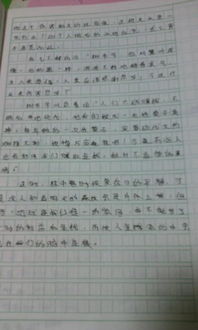 這個(gè)夏天我很快樂(lè )有關(guān)校園作文