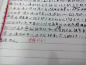 作文,校園