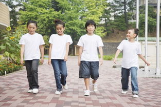 校園生活作文小學(xué)六年級,快樂的校園生活六年級作文,校園生活作文400字小學(xué)六年級上冊