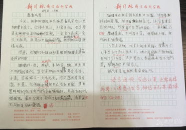 我們新的校的校園作文450字