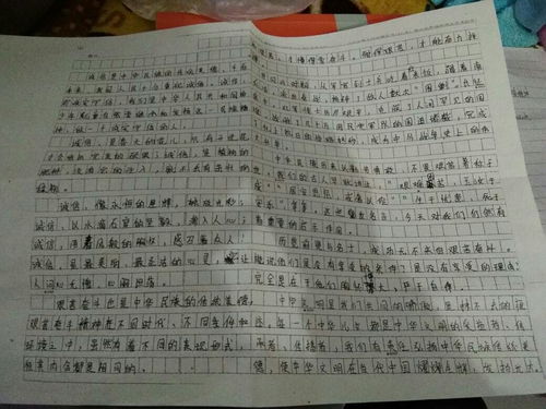 標題校園文化作文300字