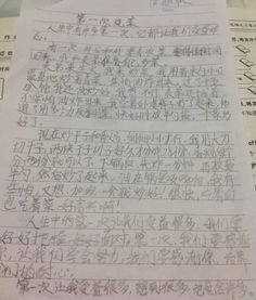 記校園藝術(shù)節作文450字