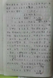 觀(guān)察校園魚(yú)塘作文350字