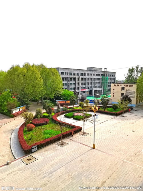 最美麗的風(fēng)景800字,校園里美麗的風(fēng)景,校園里最美麗的風(fēng)景作文600字