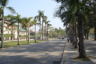 作文,早晨,優(yōu)秀,校園