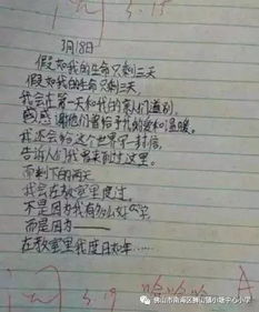關(guān)于校園網(wǎng)絡(luò )安全的作文600字
