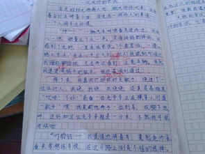 作文,花園,校園