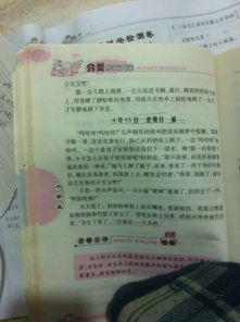 校園金銀花墻的作文怎么寫(xiě)三百字