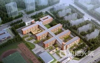 沛縣,作文,校區(qū),實驗小學
