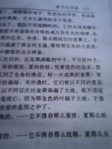 作文,描寫(xiě),秋天,校園