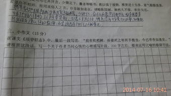 作文,西瓜,校園