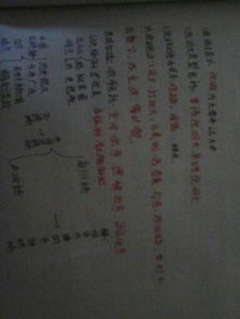 校園作文從空間順序寫