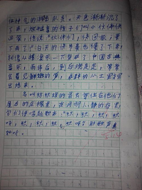校園一景國(guó)旗作文600字
