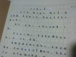 我眼中的校園作文情景交融