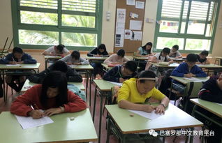 作文,多彩,校園,活動