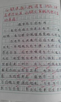 校園文化節作文400字,校園文化節作文600字,校園文化節作文500字