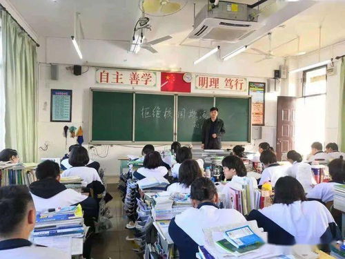 欺凌,作文,班會(huì ),拒絕