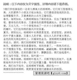 四季描寫(xiě)校園里的梧桐樹(shù)作文