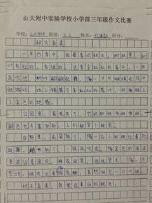 字左右,優(yōu)秀作文,校園,活動