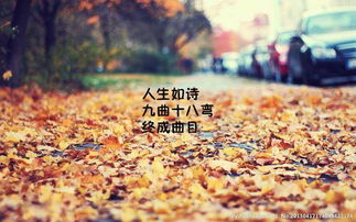 校園路上鋪滿(mǎn)落葉作文