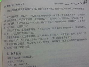 孔子,作文,廣場(chǎng),校園