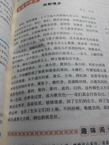 作文,校園里,活動